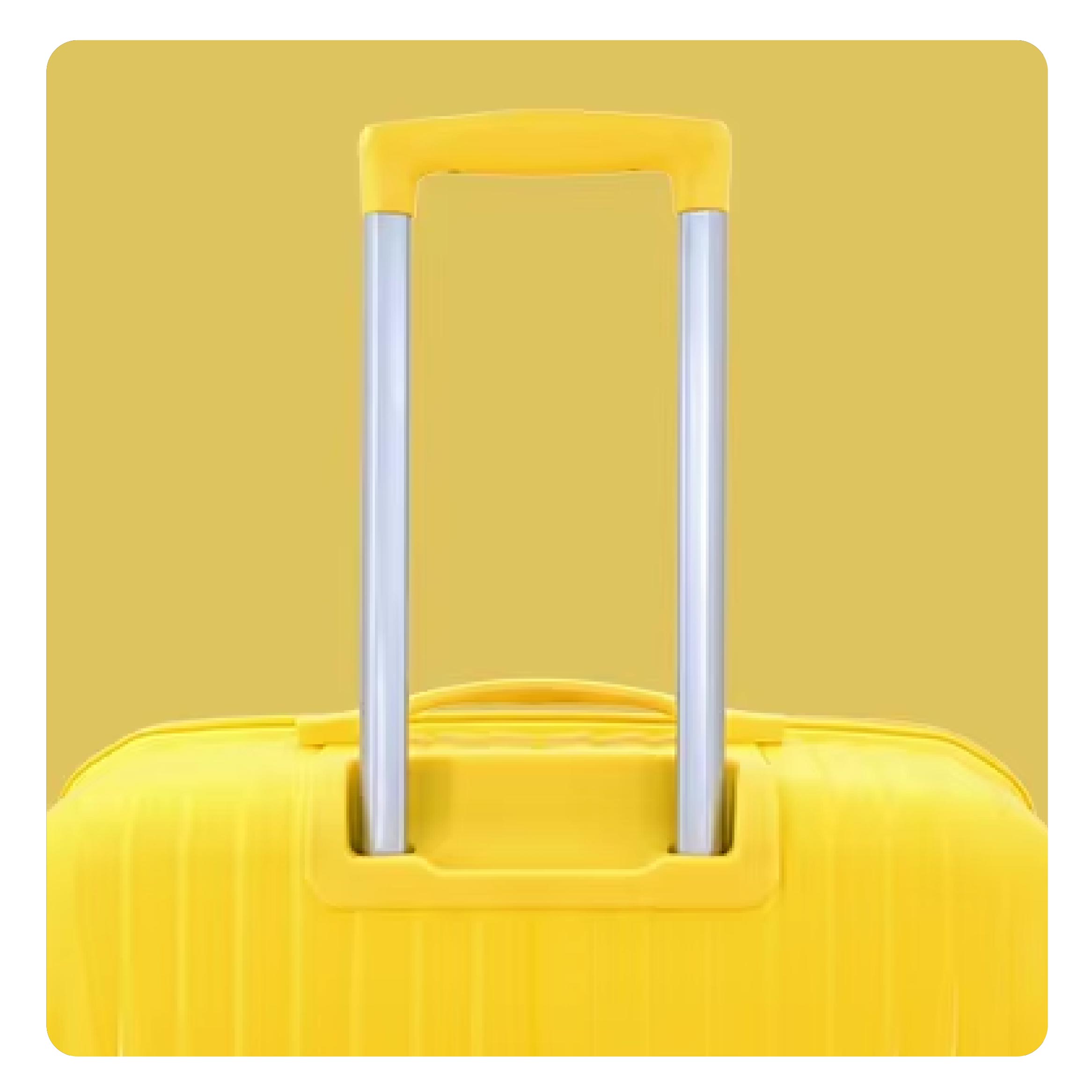 Telescopic Handle