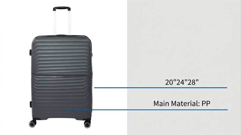 hard luggage